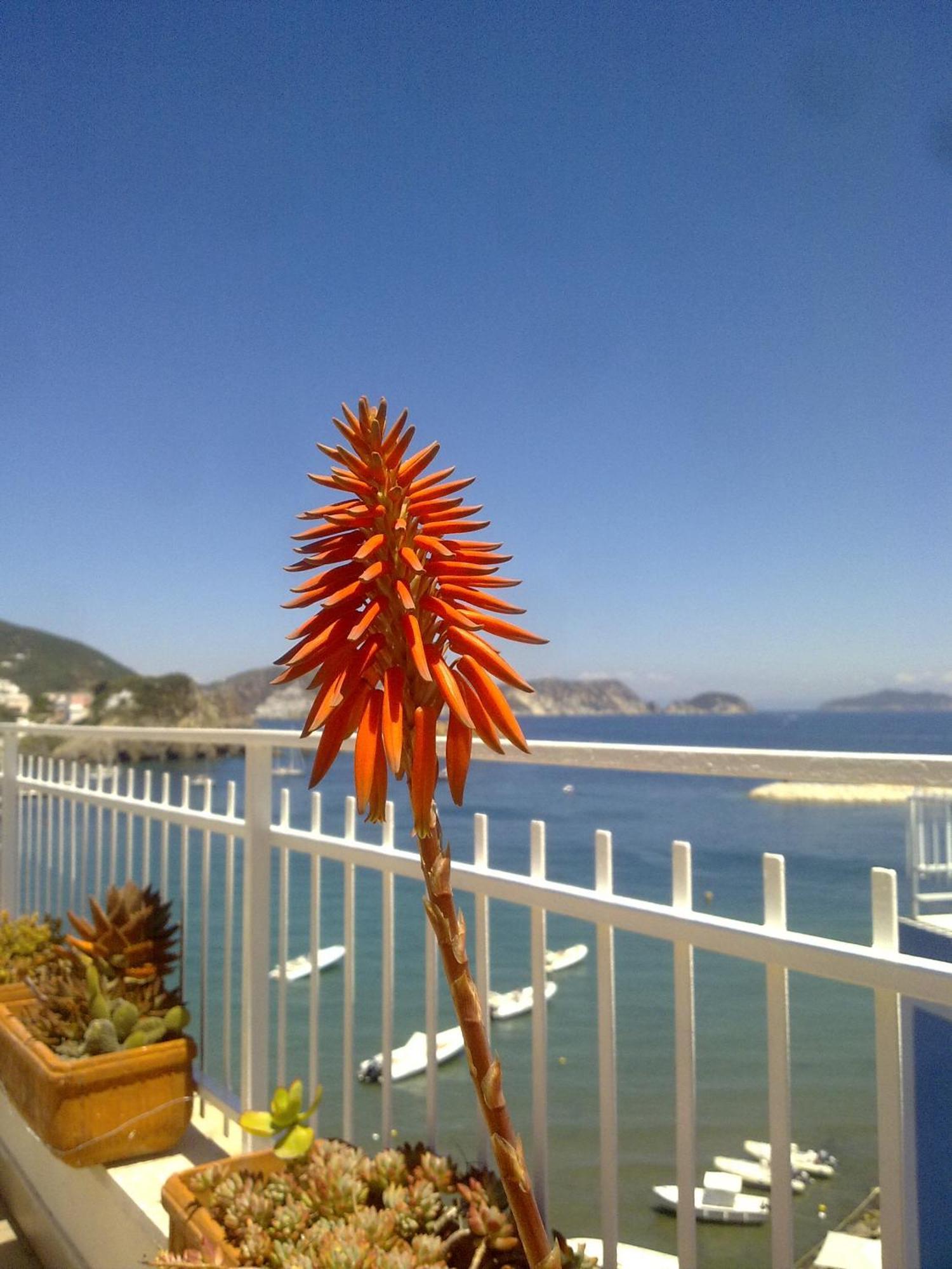 Hotel La Baia Πόντσα Εξωτερικό φωτογραφία